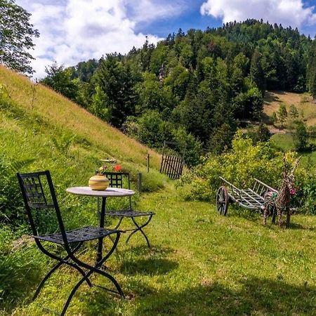 Ferienwohnung Teich 11 Gutenbach المظهر الخارجي الصورة