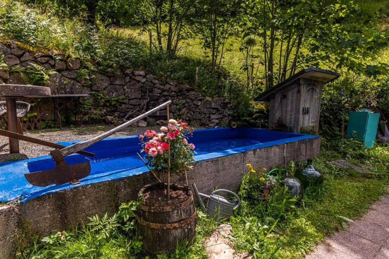 Ferienwohnung Teich 11 Gutenbach المظهر الخارجي الصورة