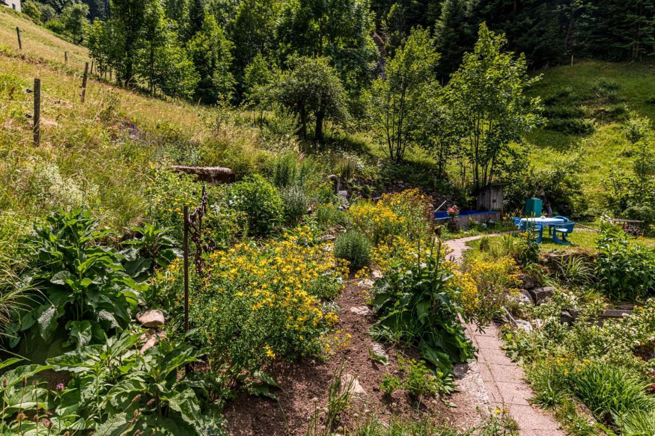 Ferienwohnung Teich 11 Gutenbach المظهر الخارجي الصورة
